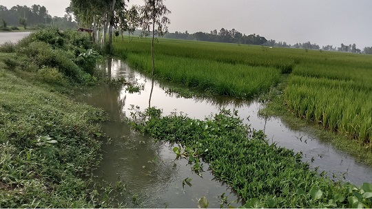 image-here